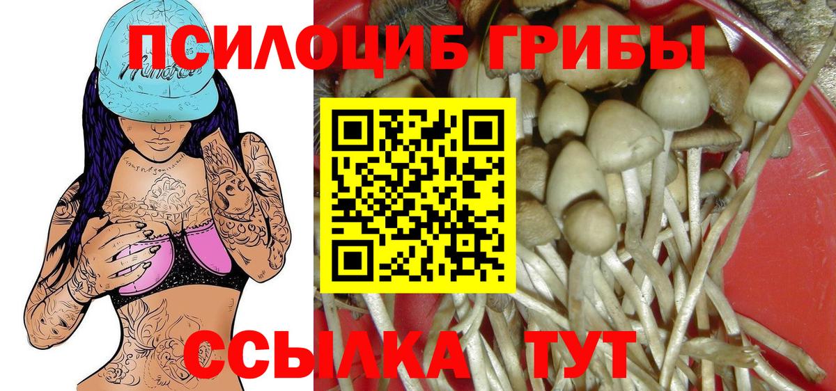 купить наркоту  Галлюциногенные грибы Psilocybine cubensis  Псилоцибиновые грибы GOLDEN TEACHER  Вход с VPN  Кызыл 